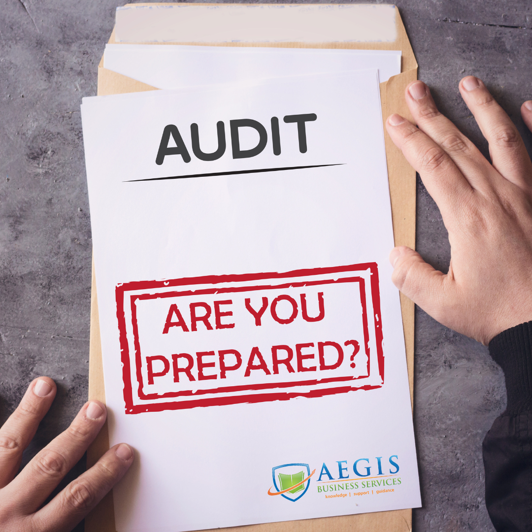 Case Studies - ATO Audits